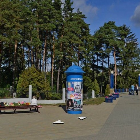 239.Т