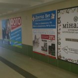 МАЛ19
