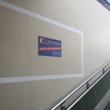 МАЛ24