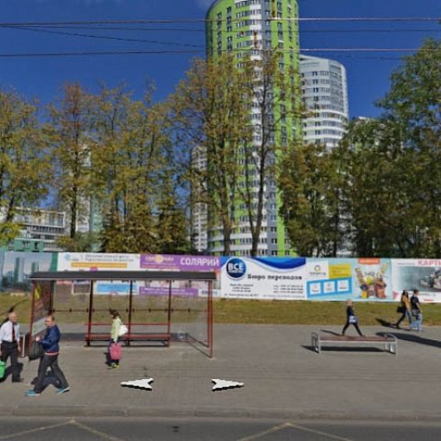 244.Т