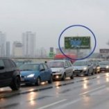timiriazeva_121-1b