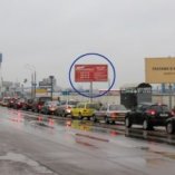 timiriazeva_121-3
