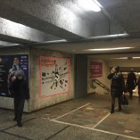 IMG_5599