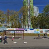 243.Т