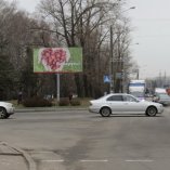 kigevatova_serova_b